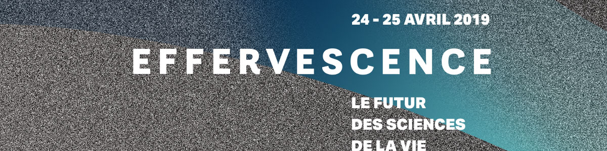 Effervescence 2019